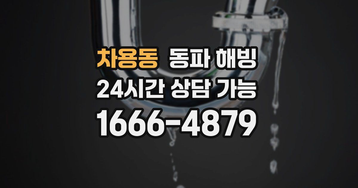 차용동 동파 해빙