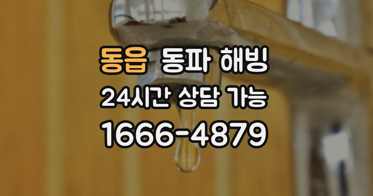 동읍 동파 해빙