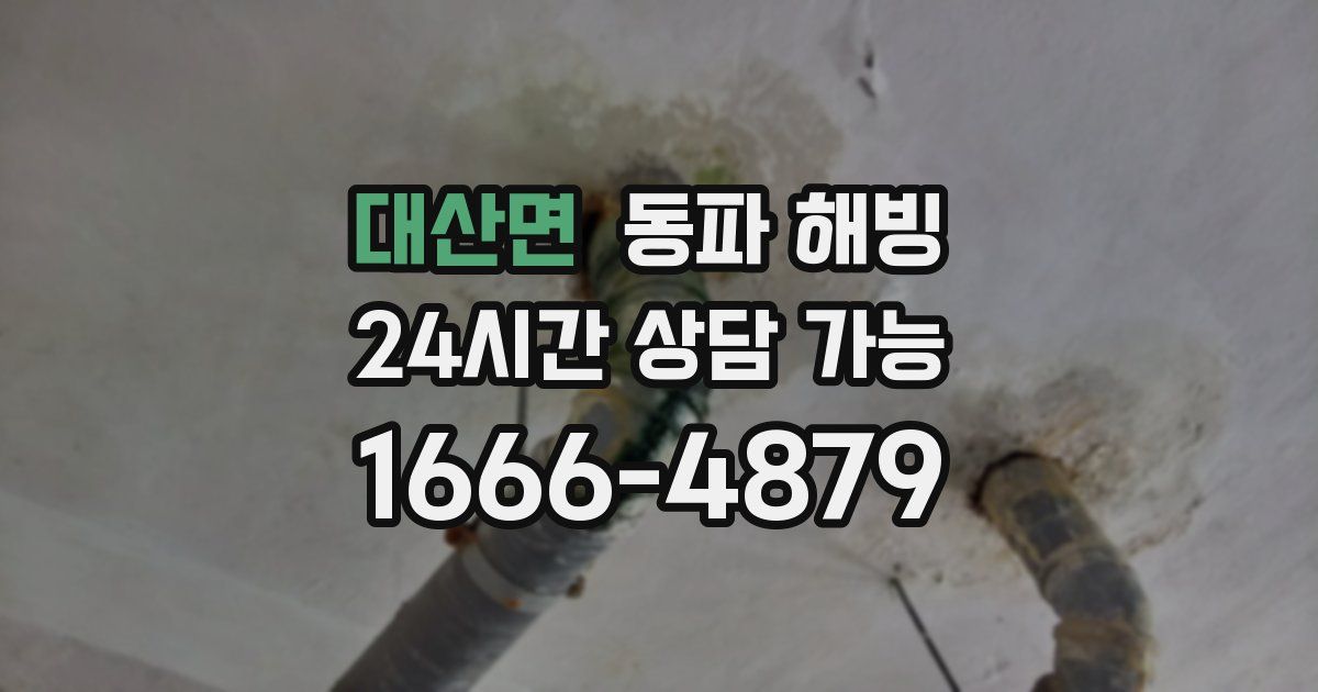 대산면 동파 해빙