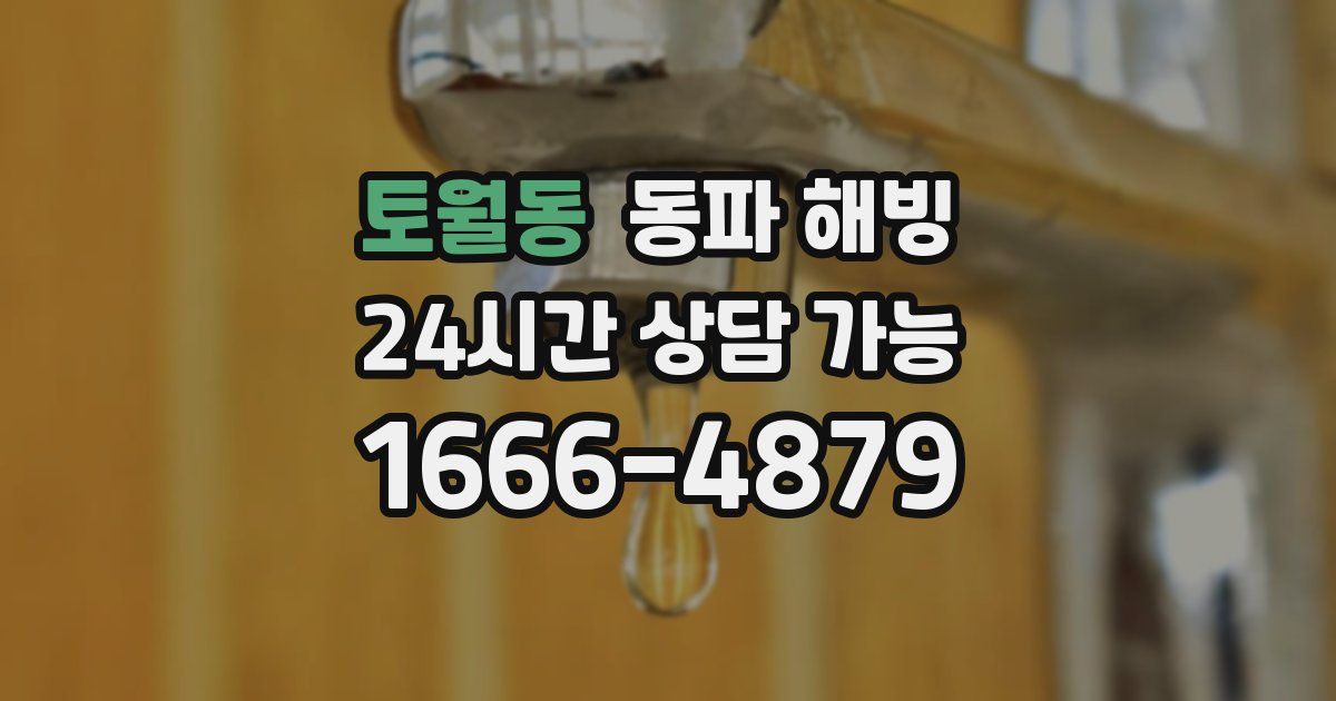 토월동 동파 해빙