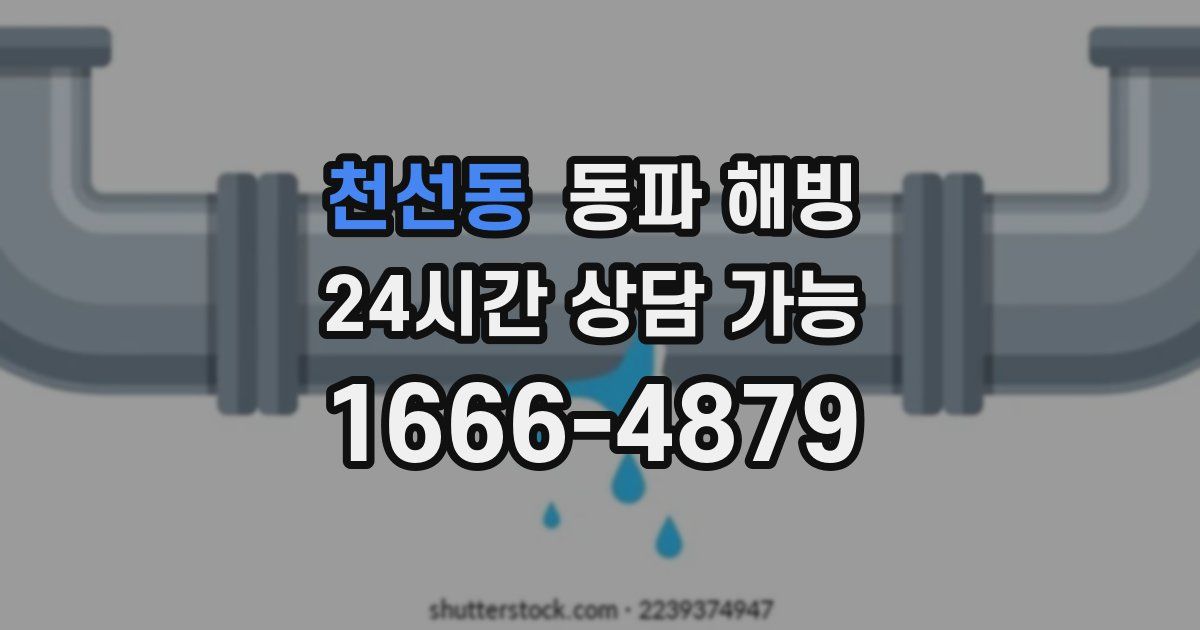 천선동 동파 해빙