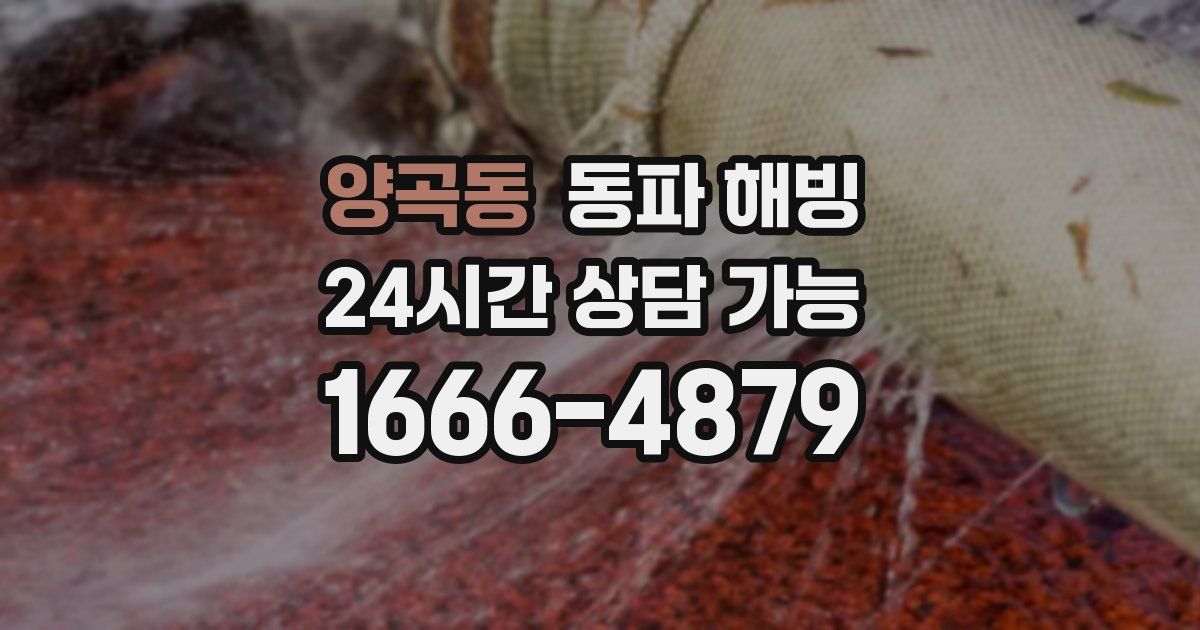 양곡동 동파 해빙