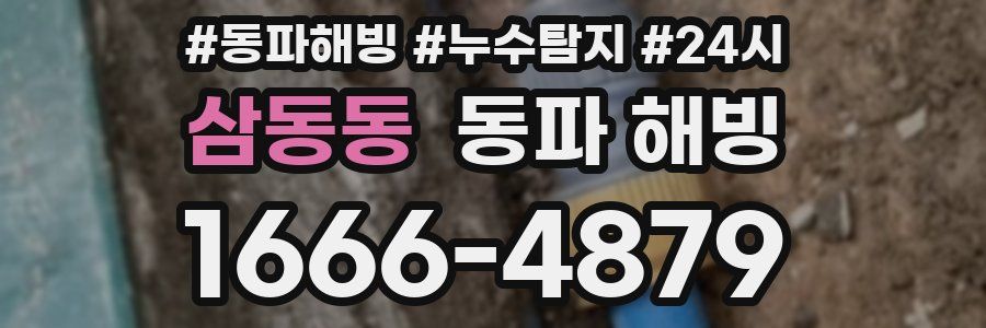 삼동동 동파