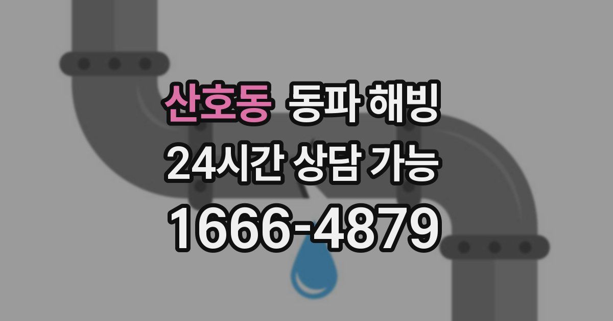 산호동 동파 해빙