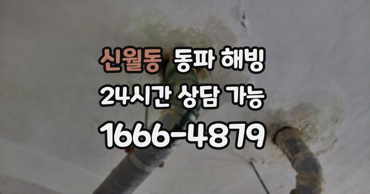 신월동 동파 해빙