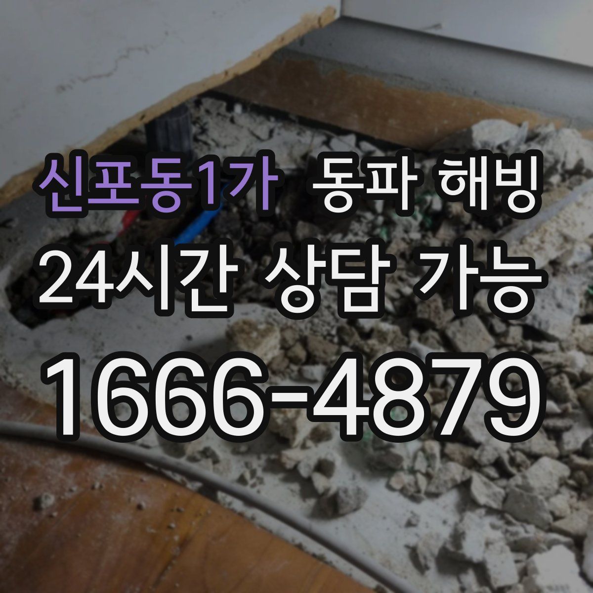 신포동1가 해빙