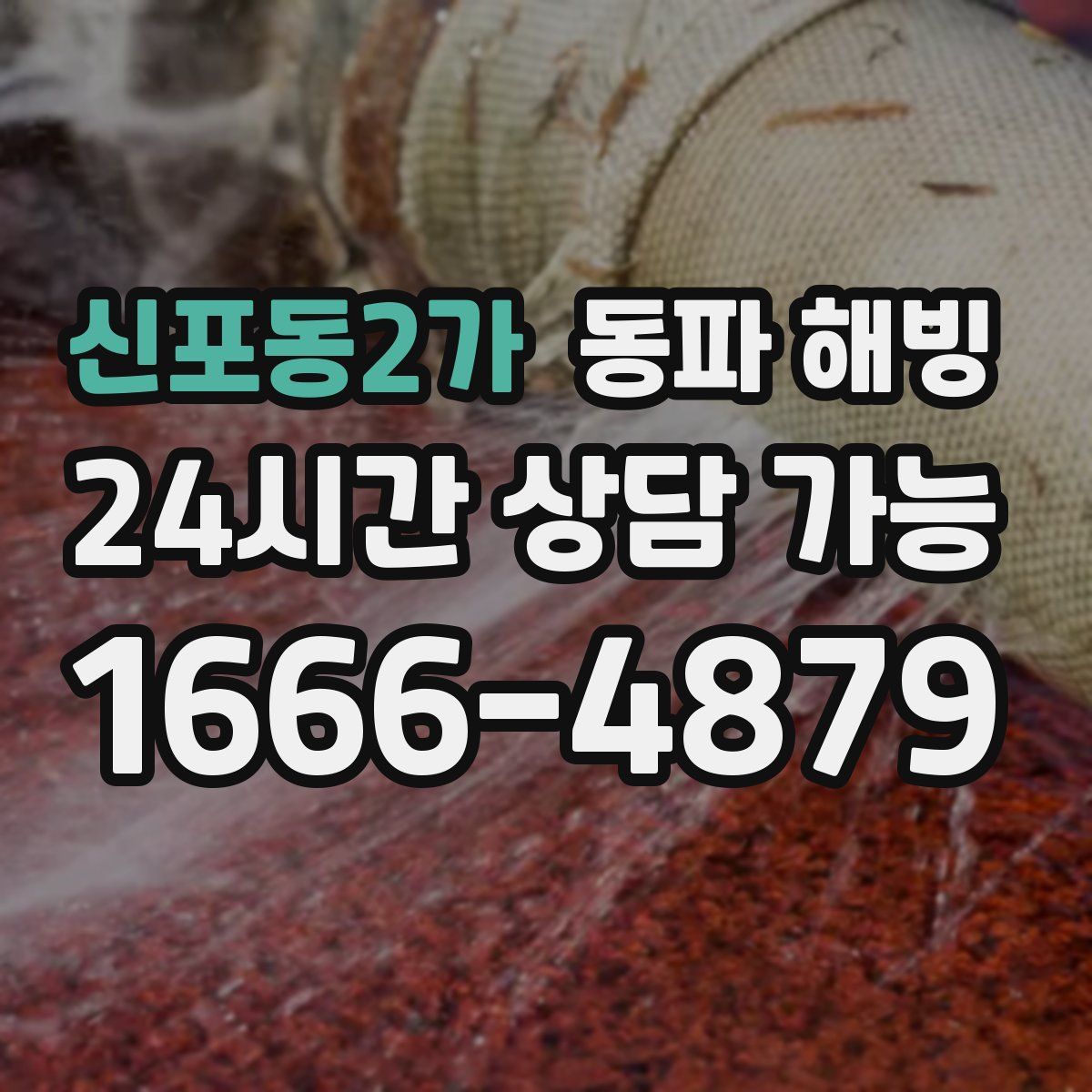 신포동2가 해빙