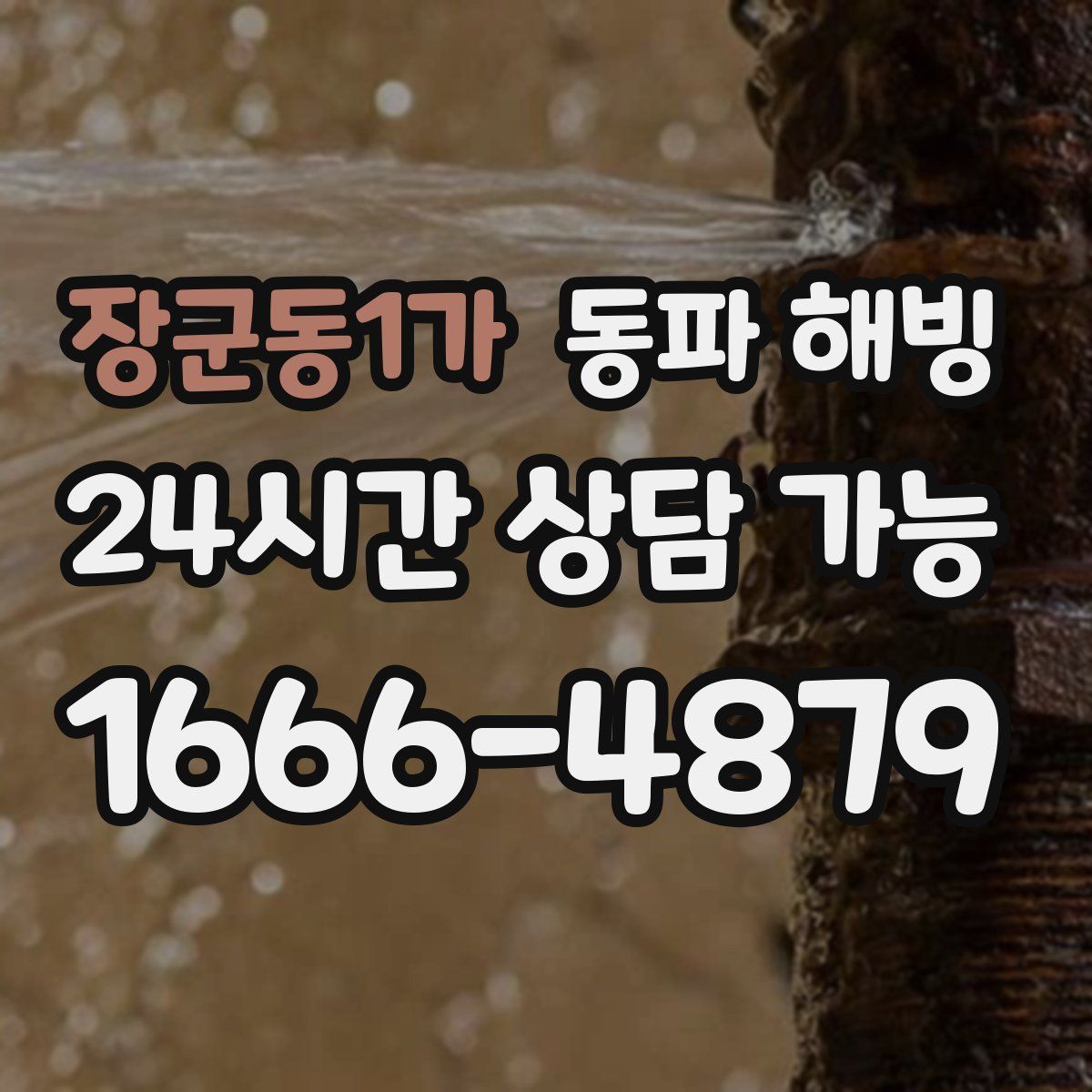 장군동1가 해빙