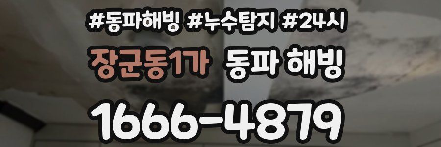 장군동1가 동파