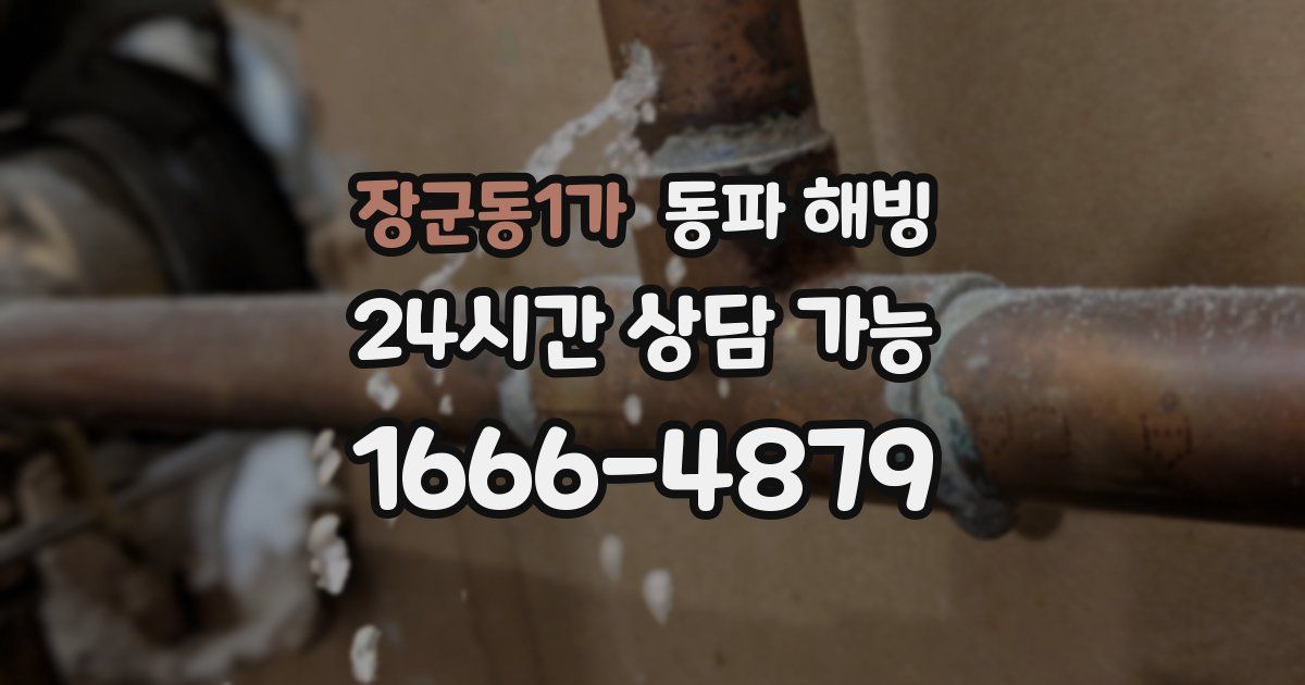 장군동1가 동파 해빙