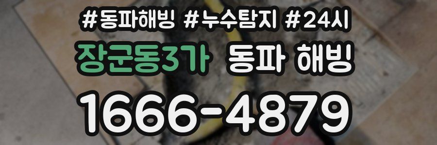 장군동3가 동파