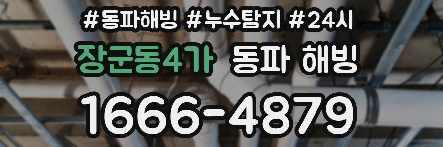 장군동4가 동파