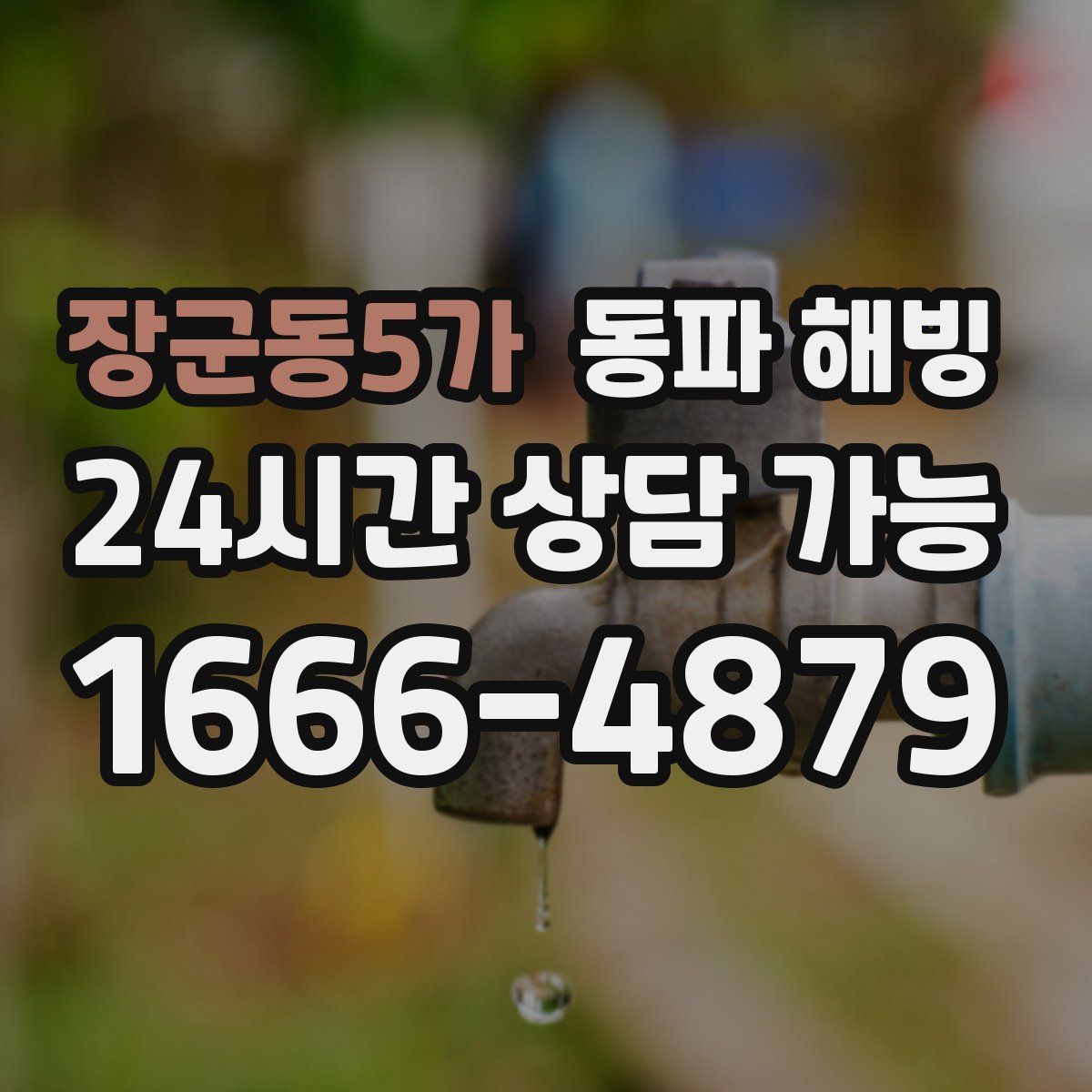 장군동5가 해빙