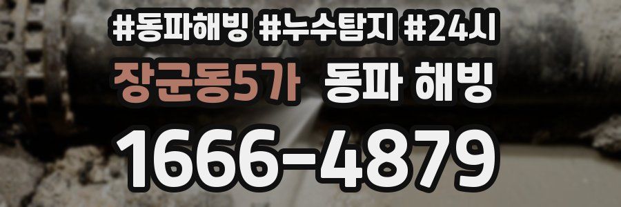 장군동5가 동파
