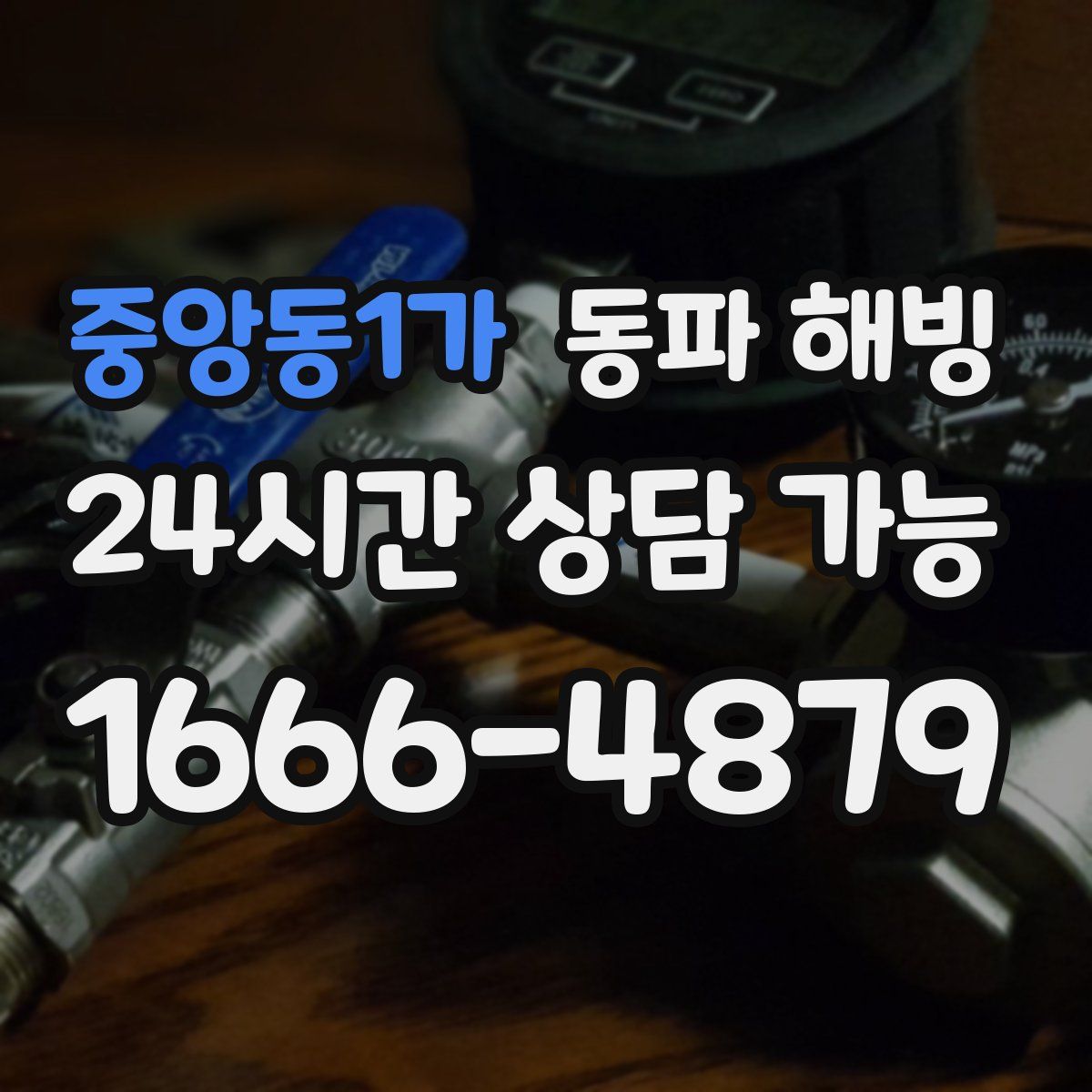 중앙동1가 해빙