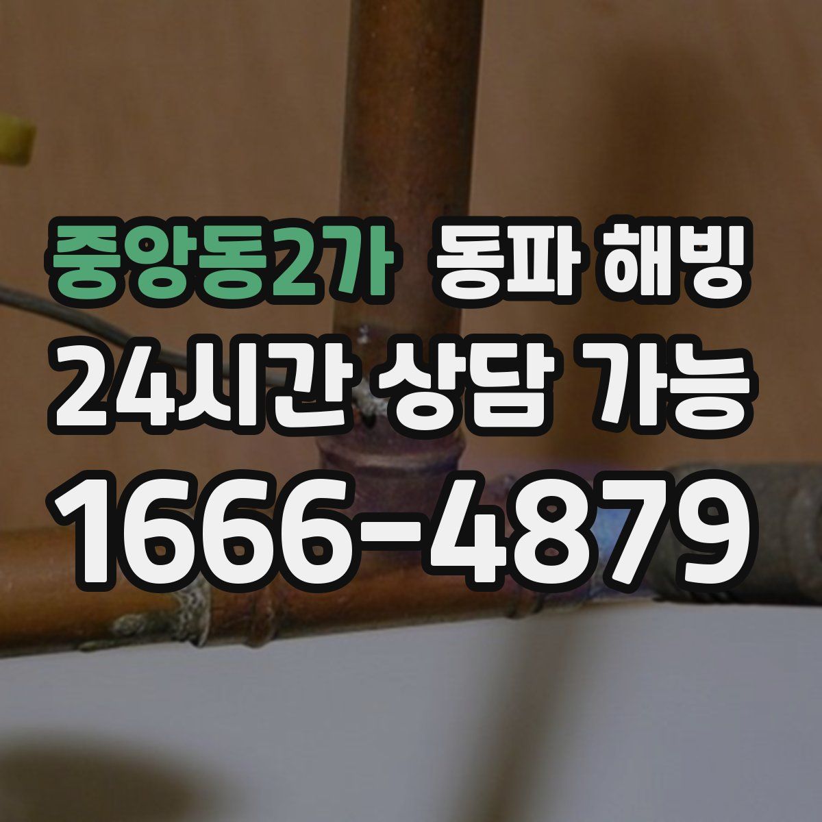 중앙동2가 해빙