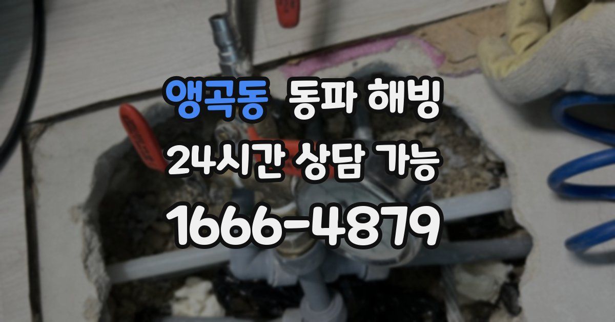 앵곡동 동파 해빙