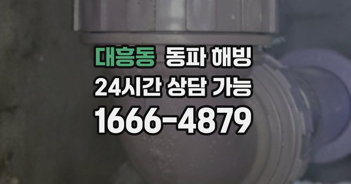 대흥동 동파 해빙