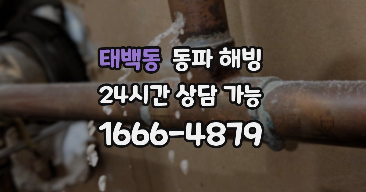 태백동 동파 해빙