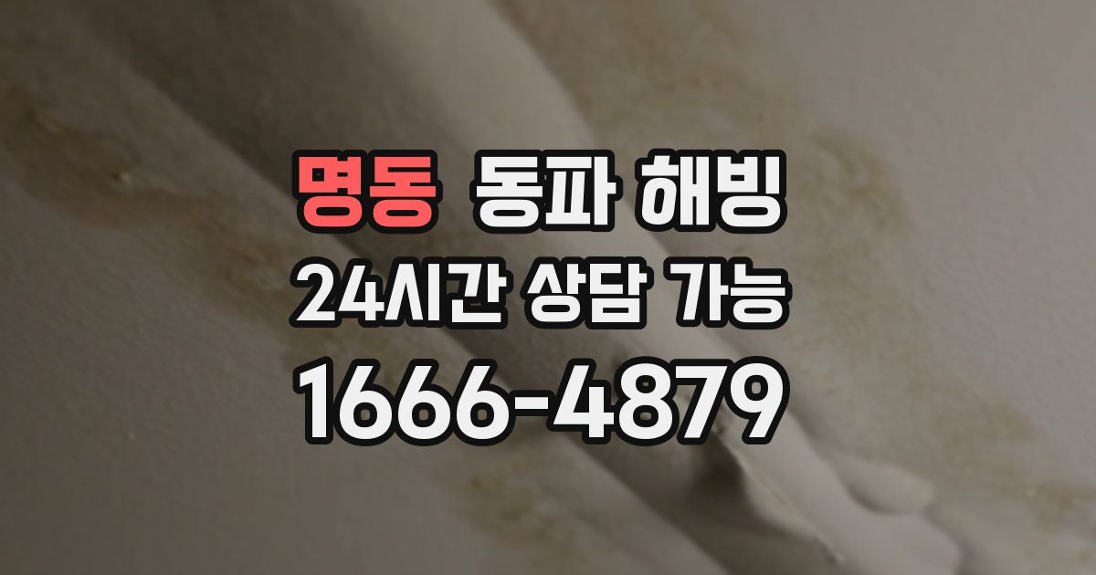 명동 동파 해빙