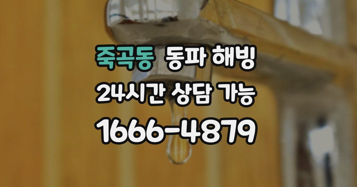 죽곡동 동파 해빙