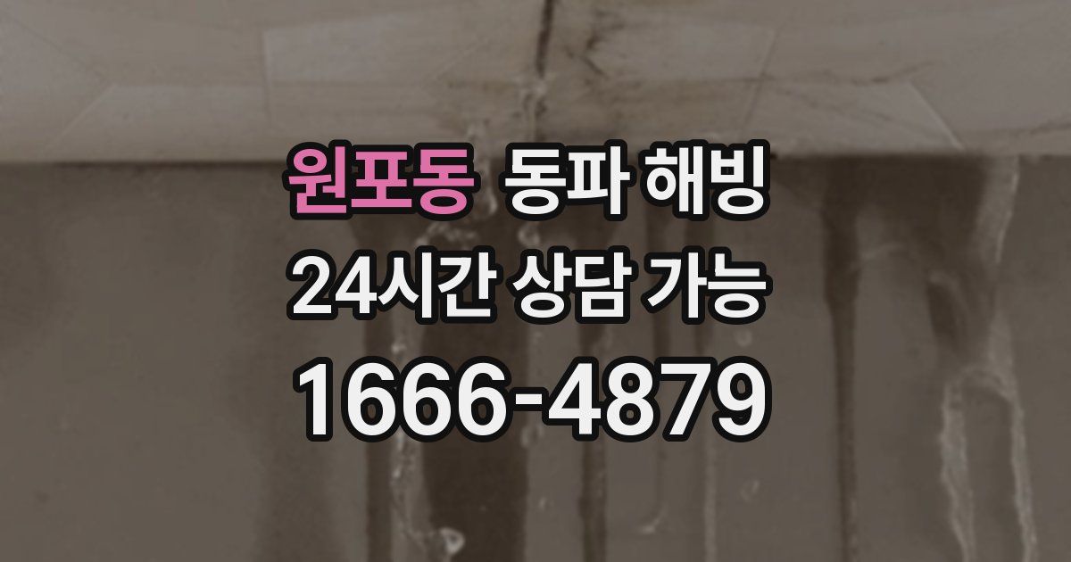 원포동 동파 해빙
