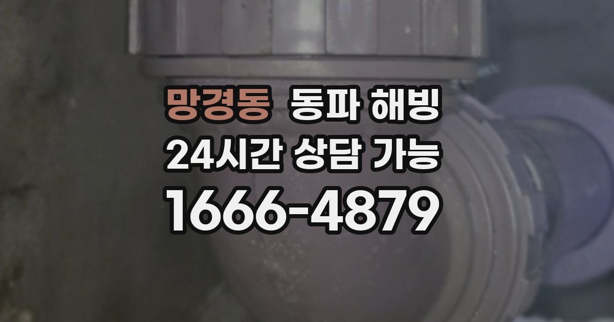 망경동 동파 해빙