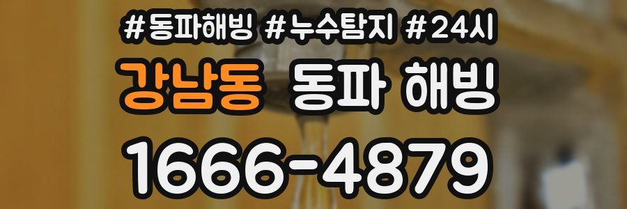 강남동 동파