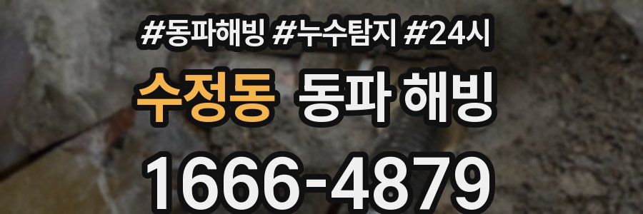 수정동 동파