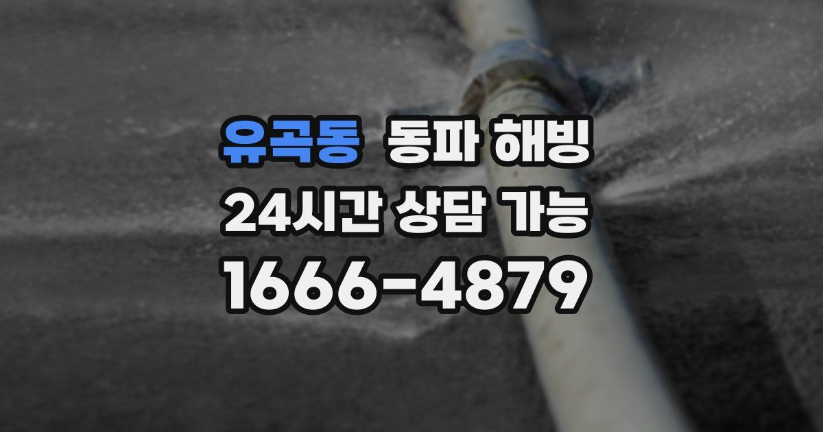 유곡동 동파 해빙