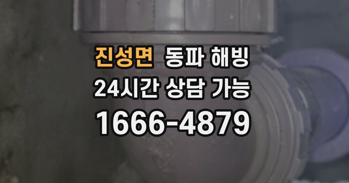 진성면 동파 해빙