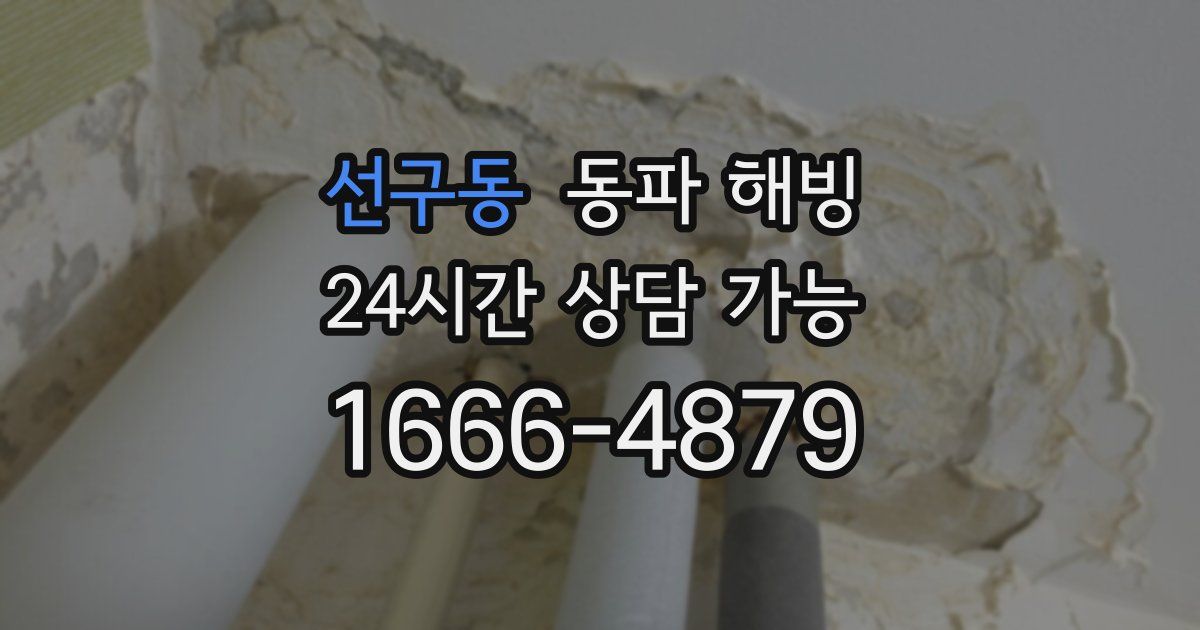 선구동 동파 해빙