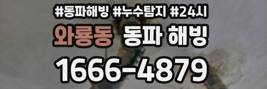 와룡동 동파