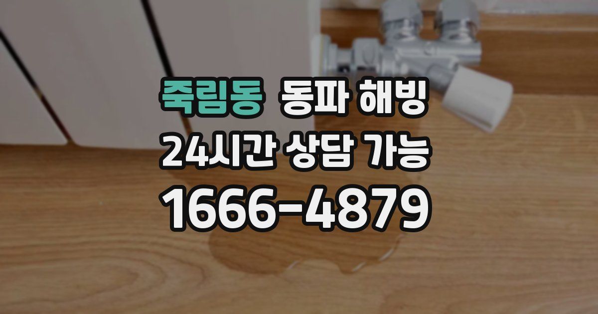 죽림동 동파 해빙