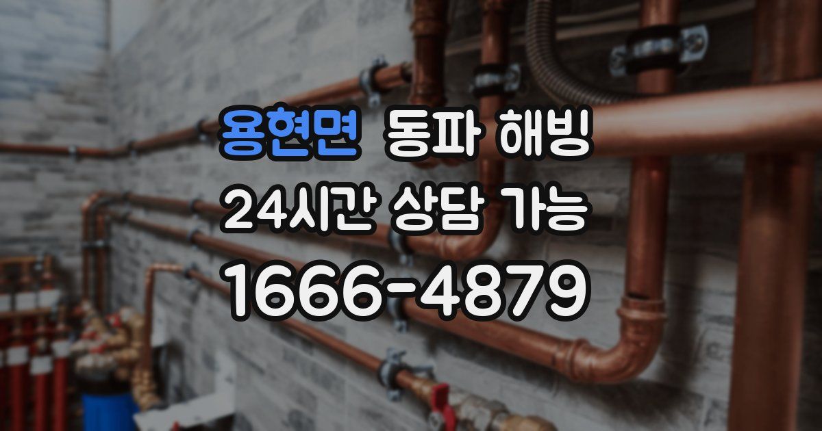 용현면 동파 해빙