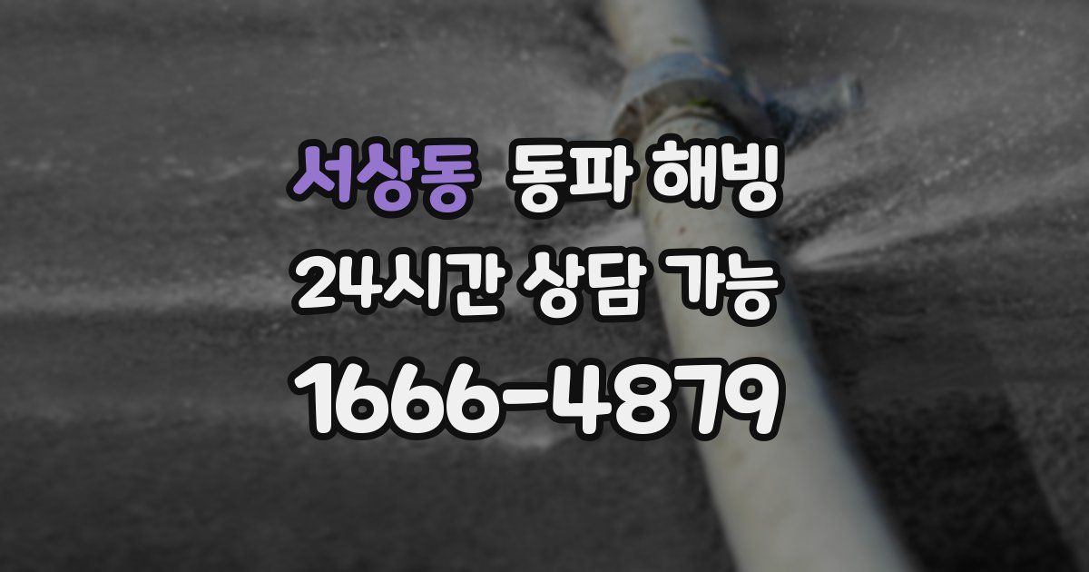 서상동 동파 해빙