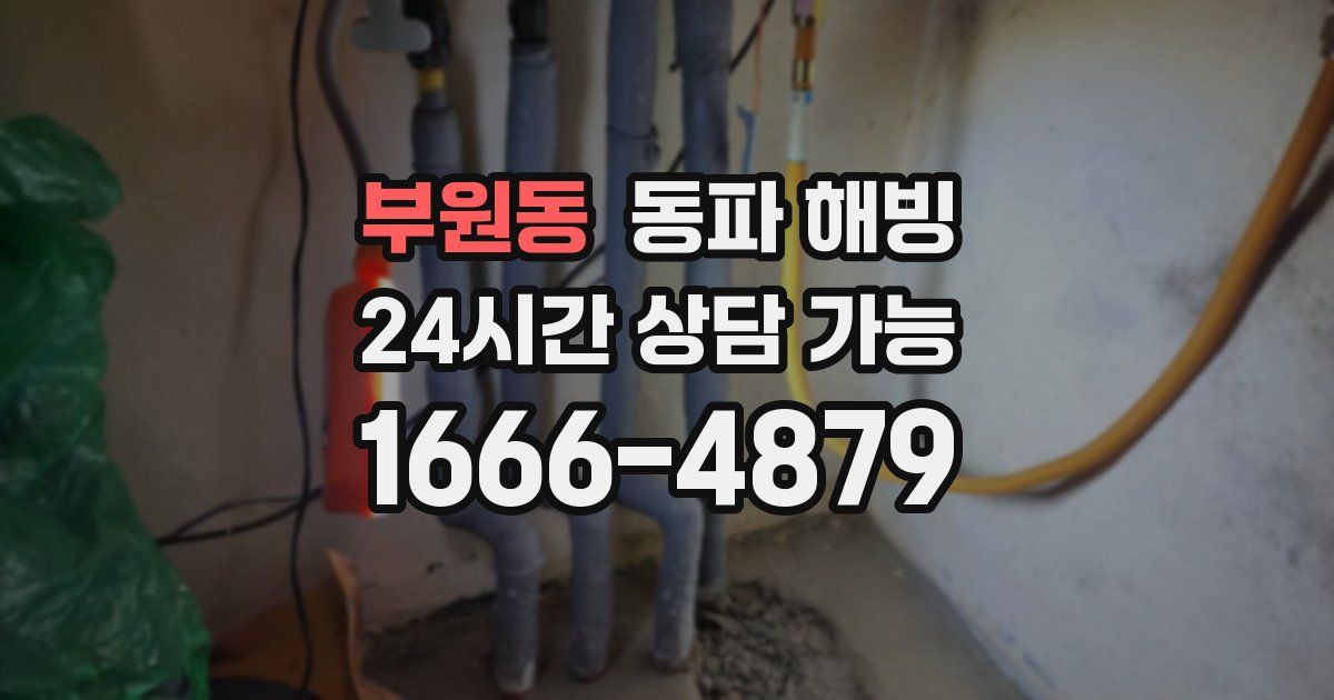 부원동 동파 해빙