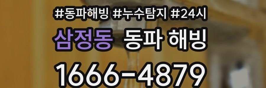 삼정동 동파