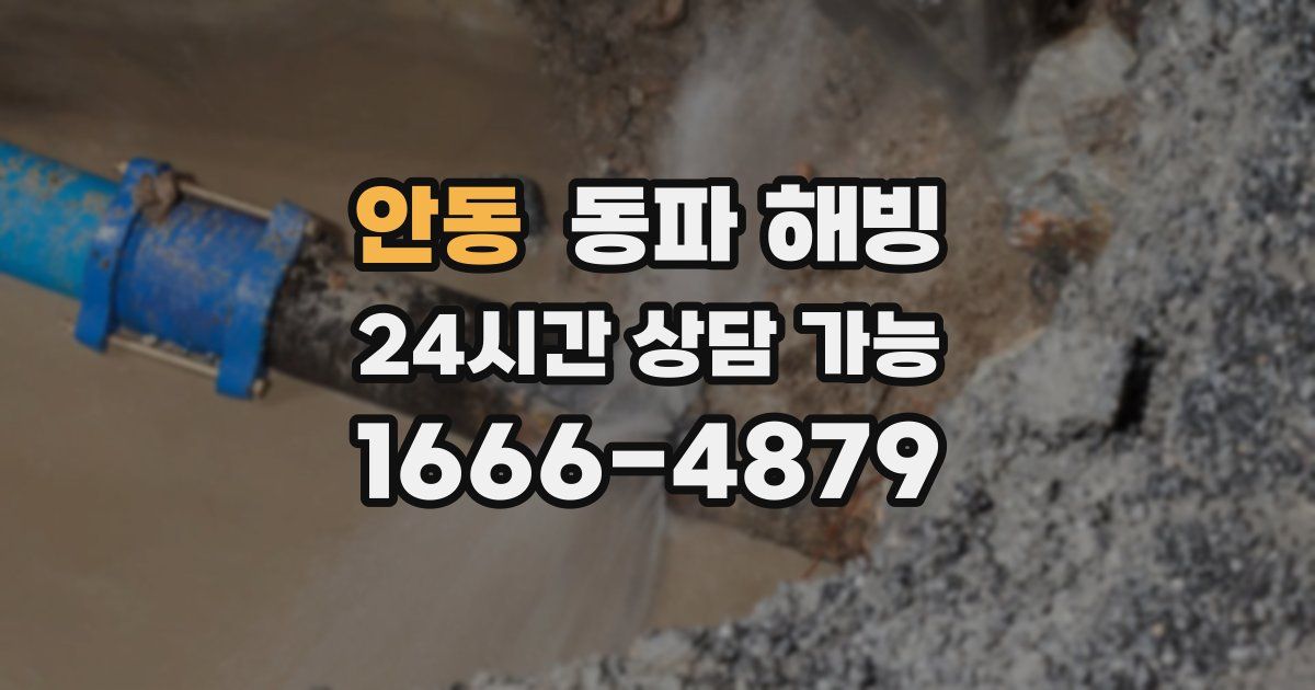 안동 동파 해빙