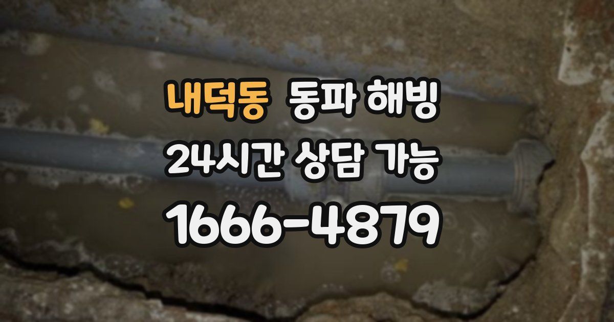 내덕동 동파 해빙