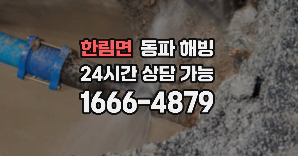 한림면 동파 해빙