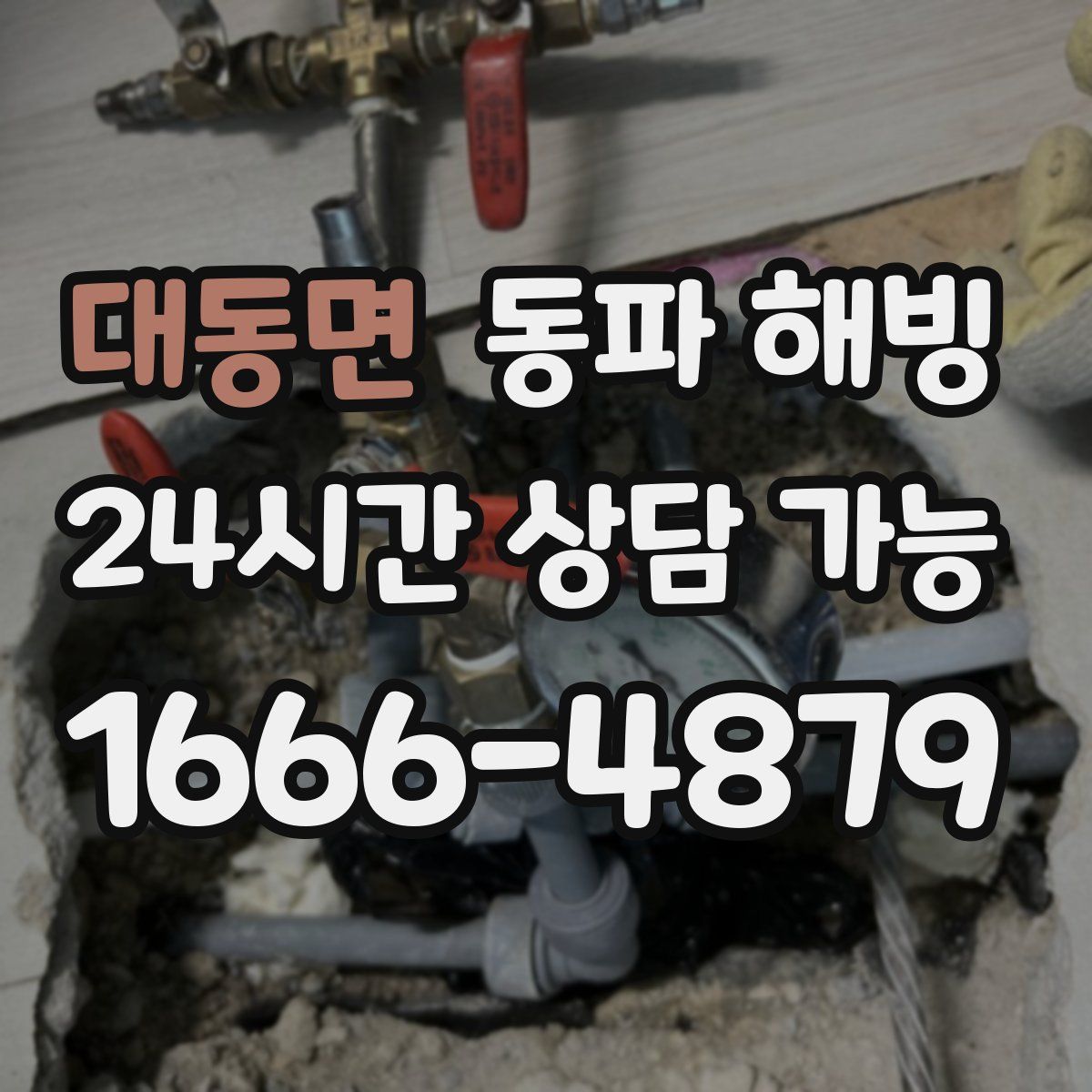 대동면 해빙
