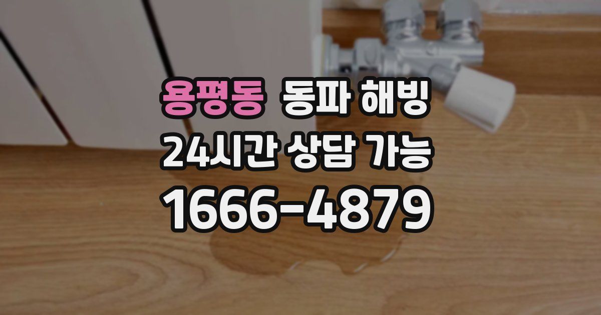 용평동 동파 해빙