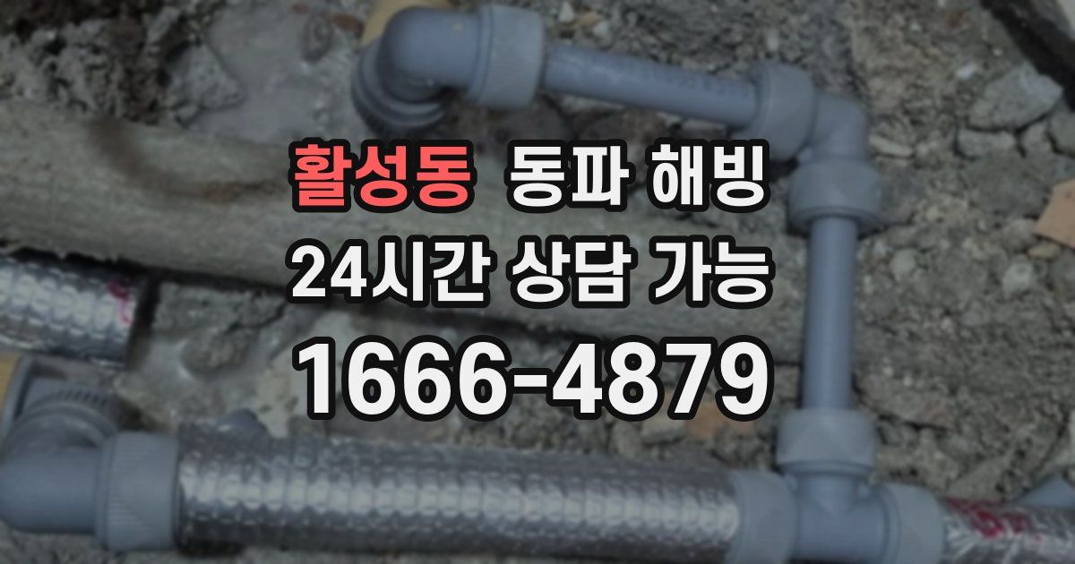 활성동 동파 해빙