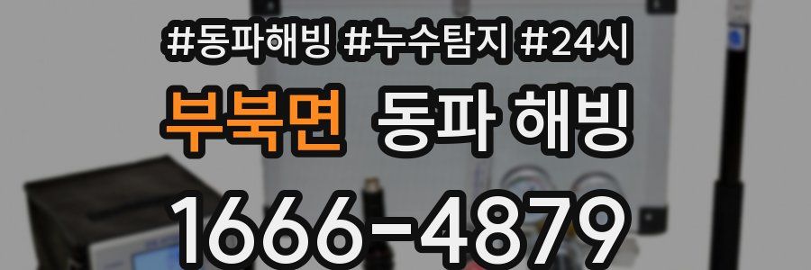 부북면 동파