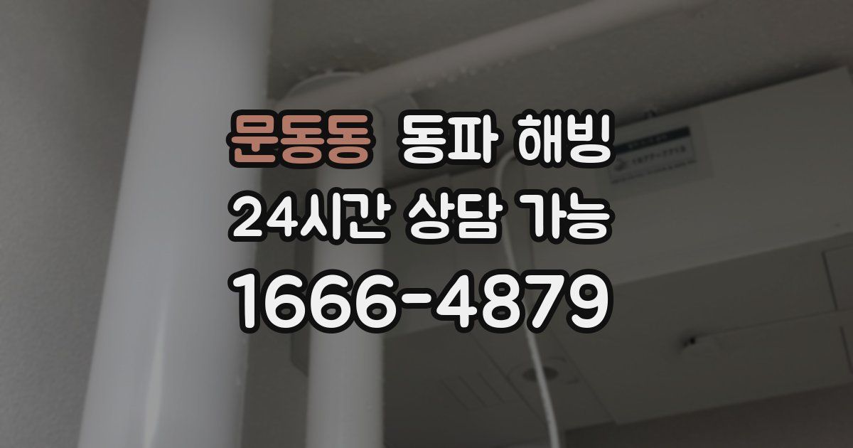 문동동 동파 해빙