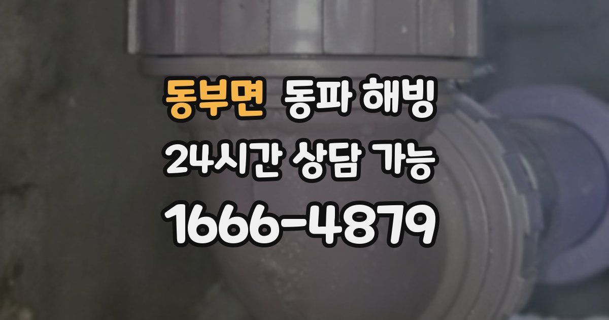 동부면 동파 해빙