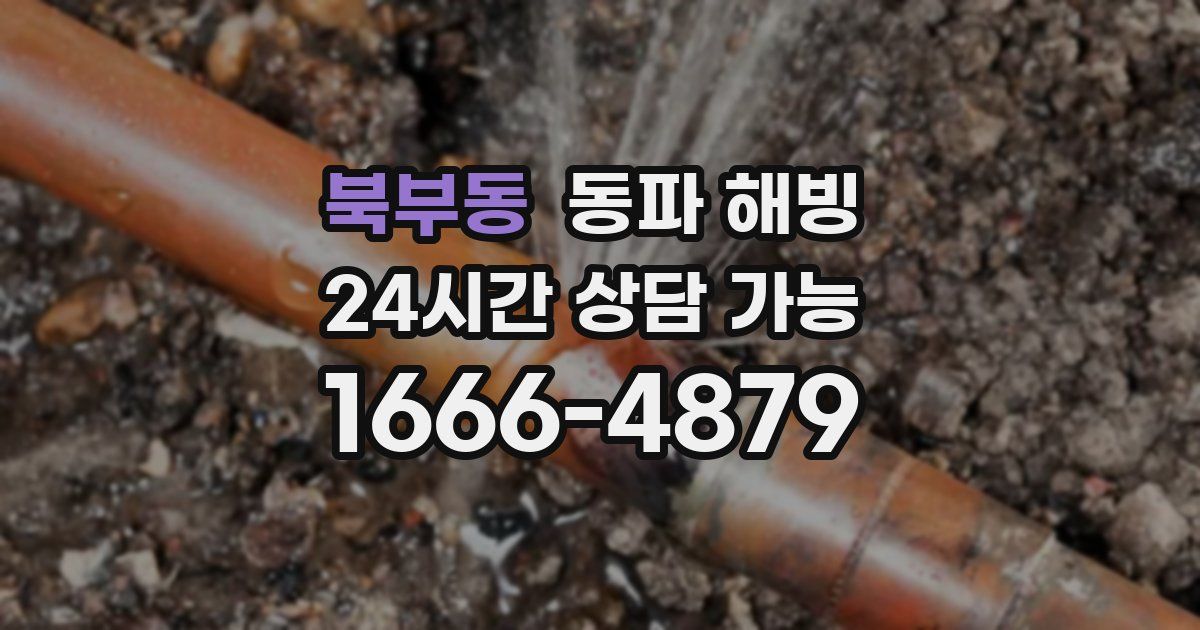 북부동 동파 해빙