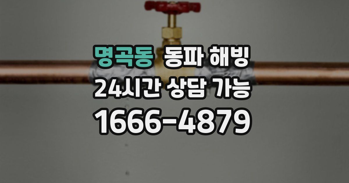 명곡동 동파 해빙