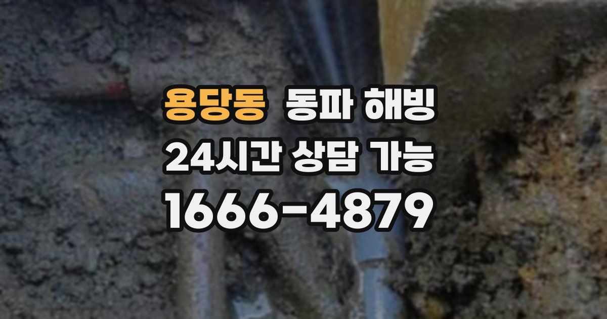 용당동 동파 해빙